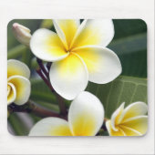 Blume Frangipani Mousepad (Vorne)