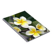 Blume Frangipani Notizblock (Rechte Seite)