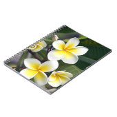 Blume Frangipani Notizblock (Linke Seite)