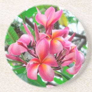 Blume Frangipani (Plumeria) Untersetzer
