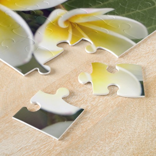 Blume Frangipani Puzzle (Seite)