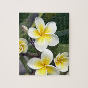Blume Frangipani Puzzle