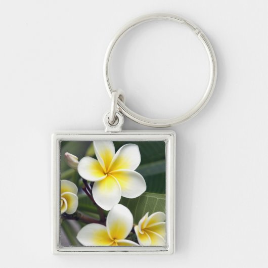 Blume Frangipani Schlüsselanhänger (Vorne)