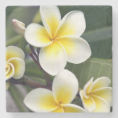 Blume Frangipani Steinuntersetzer (Vorderseite)