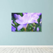 Blume Freesia Fotografie Leinwanddruck (Insitu (Holzboden))