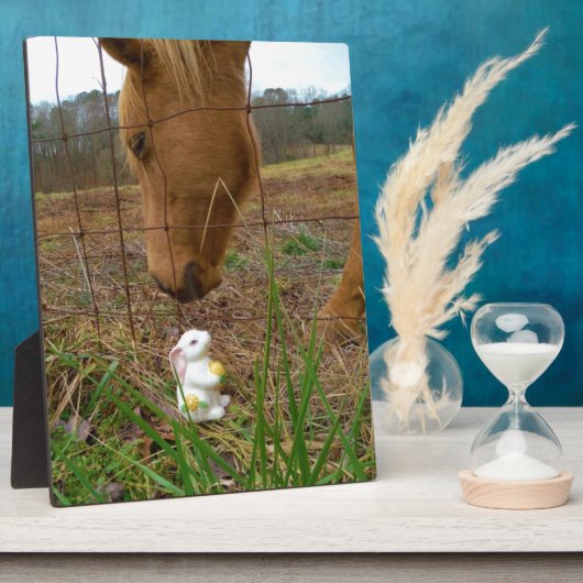 Blume Frühjahr Fotoplatte (Seite)