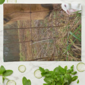 Blume Frühjahr Küchentuch (Gefaltet)