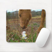 Blume Frühjahr Mousepad (Mit Mouse)