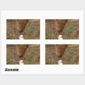 Blume Frühjahr Rechteckiger Aufkleber (Blatt)