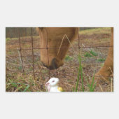 Blume Frühjahr Rechteckiger Aufkleber (Vorderseite)