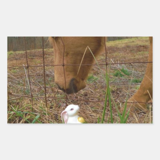 Blume Frühjahr Rechteckiger Aufkleber (Vorderseite)