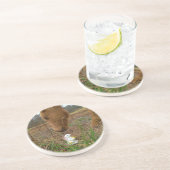 Blume Frühjahr Sandstein Untersetzer (Seite)