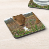 Blume Frühjahr Untersetzer (Linke Seite)