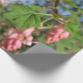 Blume, Frühling, Rosa, Sommer, Natur, Geschenkpapier (Ecke)