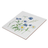 Blume, Frühlingsblumen, Gänse Fliese (Seite)