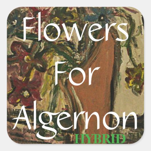 Blume für Algernon HYBRID Quadratischer Aufkleber (Vorderseite)