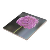 Blume für alle fliese (Seite)