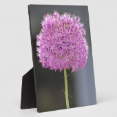Blume für alle fotoplatte (Seite)