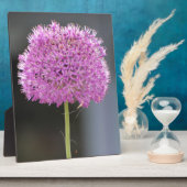 Blume für alle fotoplatte (Seite)