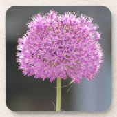 Blume für alle untersetzer (Vorderseite)