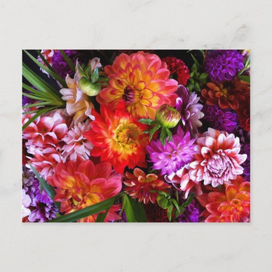 Blume für Bauer Postkarte (Vorderseite)