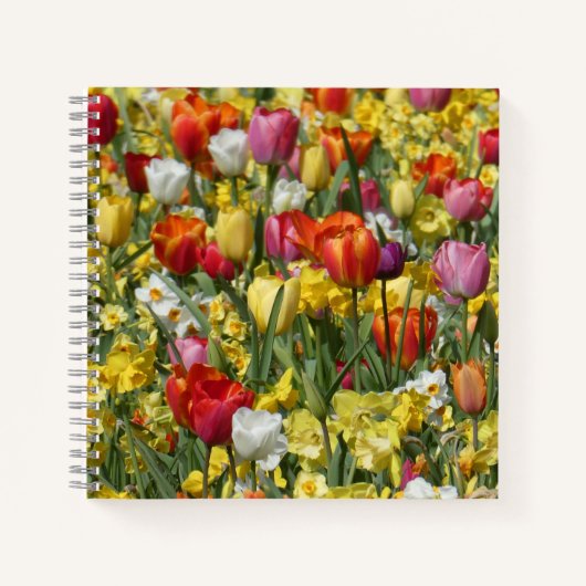 Blume für bunte Tulips und Daffodien Notizblock (Vorderseite)