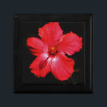Blume für den roten Hibiskus in Rot Geschenkbox<br><div class="desc">Wunderschönes Foto einer Blume in Rosa Rot Hibiskus auf Schwarz von der Künstlerin Sandra Marie Closs. Fügen Sie Ihren eigenen Text, Namen oder Monogramm hinzu, um das perfekte Produkt für jeden Anlass zu erstellen. Hochzeit, Brautparty Garten Party, Beileid , Geburtstag, Babydusche, jede Feier oder nur um Ihren Tag ein wenig...</div>