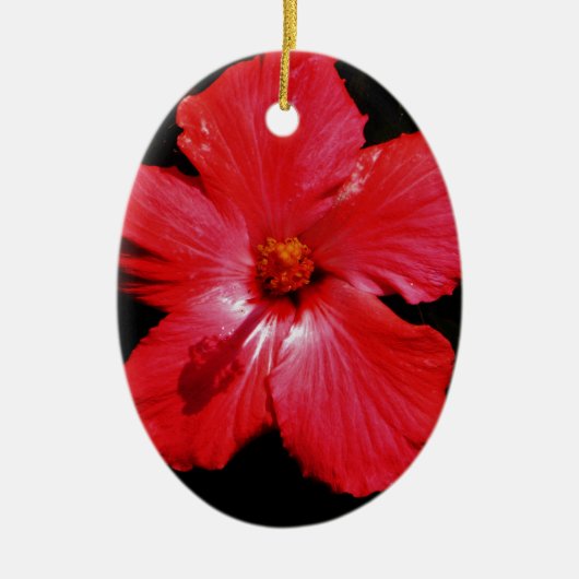 Blume für den roten Hibiskus in Rot Keramik Ornament (Vorne)