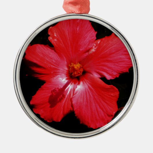 Blume für den roten Hibiskus in Rot Ornament Aus Metall (Vorne)