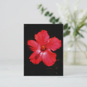 Blume für den roten Hibiskus in Rot Postkarte (Stehend Vorderseite)