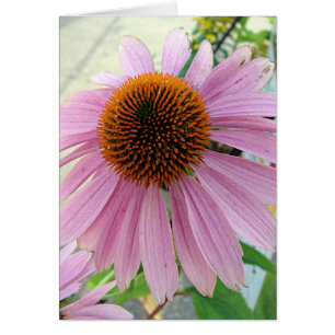 Blume für den Verkauf