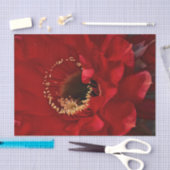 Blume für Feuerlichtkaktus Seidenpapier (Handwerk)