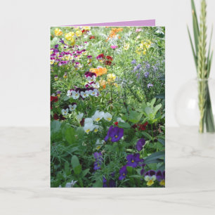 Blume für Ihren Geburtstag Karte