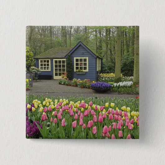 Blume für kleine Hütten, Keukenhof Gardens, Button (Vorderseite)