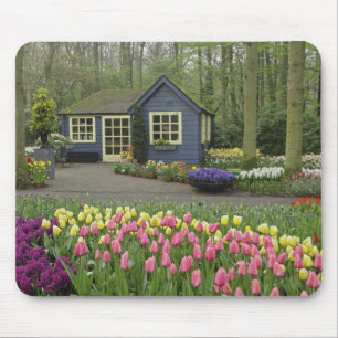 Blume für kleine Hütten, Keukenhof Gardens, Mousepad