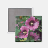 Blume für lila Hibisken Magnet (Vorderseite/Rückseite)