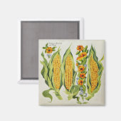 Blume für Mais und Knochenmark 2014 Magnet (Vorderseite/Rückseite)