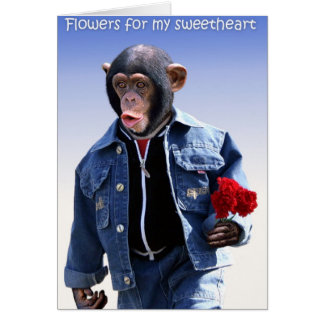 Blume für meine Freundin