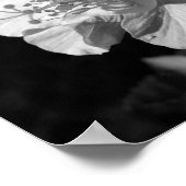 Blume für Schwarzweiß-Hibiskus Poster (Ecke)