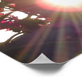 Blume für Sonnenuntergang* Poster (Ecke)