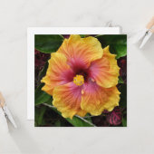 Blume für tropischen Hibiskus Karte (Vorderseite/Rückseite Beispiel)
