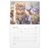 Blume für Wasserfarben Katzen Kalender 2024 (Feb 2027)