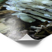 Blume für Weißes Indisches Pipe Fotodruck (Ecke)