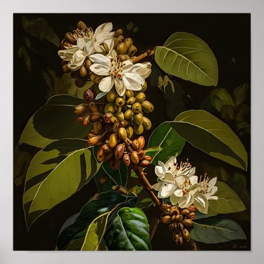 Blume für Weißkaffee Art Plakat drucken (Vorne)