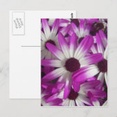 Blume Galore Postkarte (Vorne/Hinten)