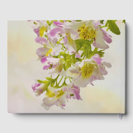 Blume Gästebuch (Rückseite)