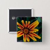 Blume Gazania Button (Vorne & Hinten)