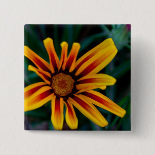 Blume Gazania Button
