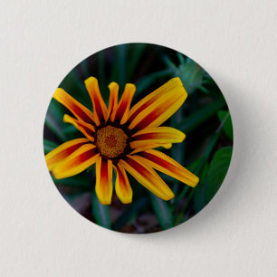 Blume Gazania Button