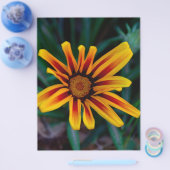 Blume Gazania Flyer (Einzeln)